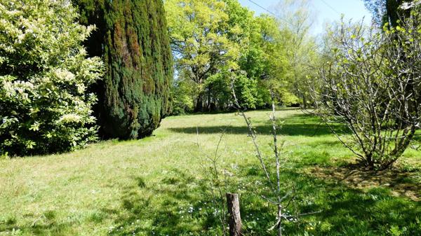 TREILLIERES - PARC ABORE AVEC ARBRES CENTENAIRES -