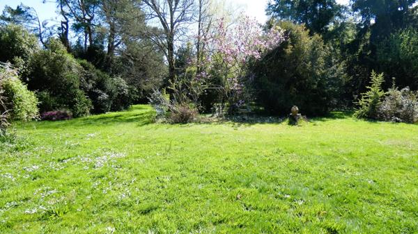 TREILLIERES - PARC ABORE AVEC ARBRES CENTENAIRES -