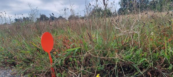 Réalisez librement votre maison, Terrain au FENOUILLER 366 m²