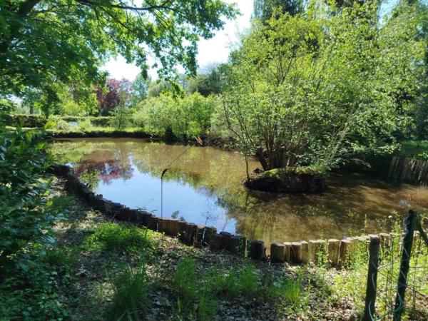 Terrain à SAINT-GEORGES-DU-BOIS, 72700 - 2188m²