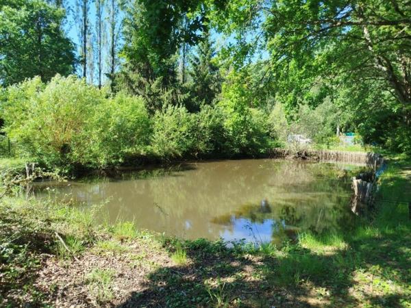 Terrain à SAINT-GEORGES-DU-BOIS, 72700 - 2188m²