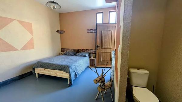 Vente Maison 10 pièces 284 m2 à Coullons