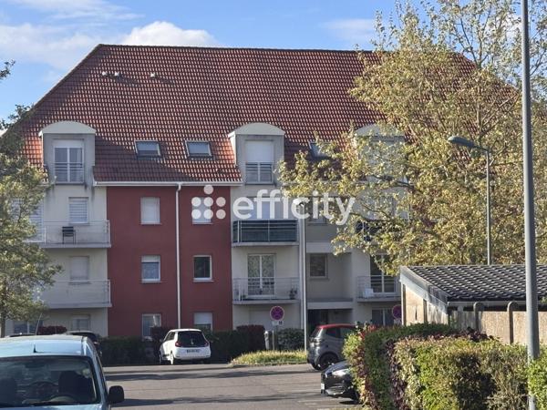 Appartement 2 pièces - 55 m² Exclusivité