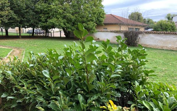 Appartement à vendre    3 pièces •  Dagneux
