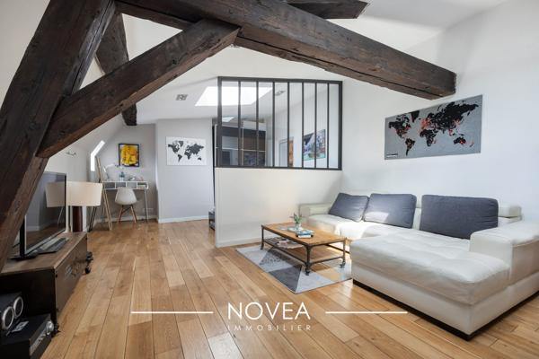 Magnifique loft climatisé, Lyon 1 Opéra