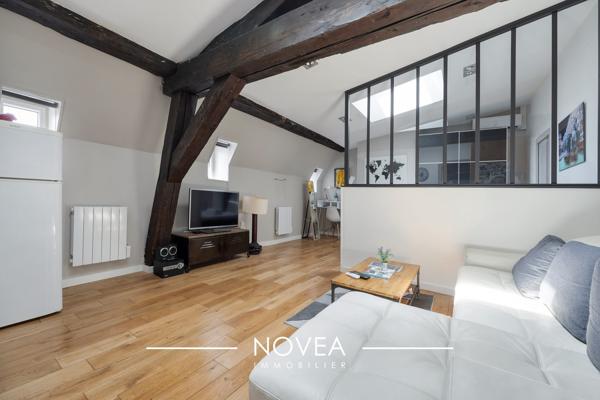 Magnifique loft climatisé, Lyon 1 Opéra