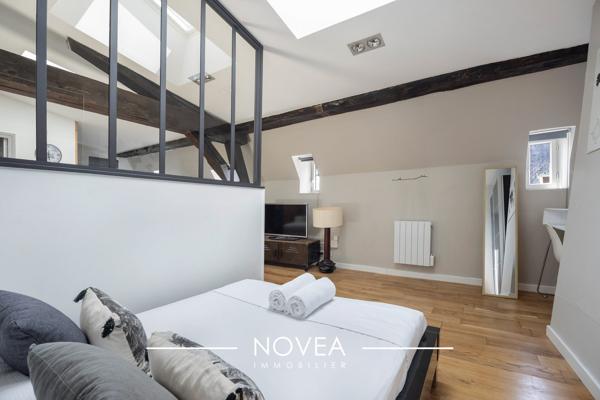 Magnifique loft climatisé, Lyon 1 Opéra