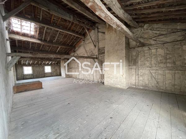 Appartement  de style Haussmanien !