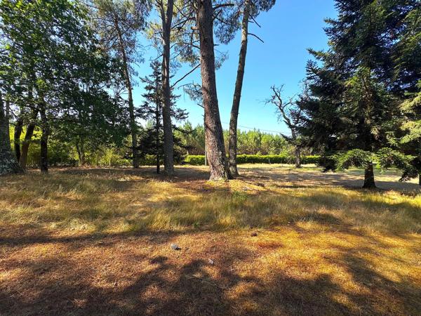 Maison à vendre 5 pièces 132m2 avec dépendances Proche de MONT DE MARSAN (40)