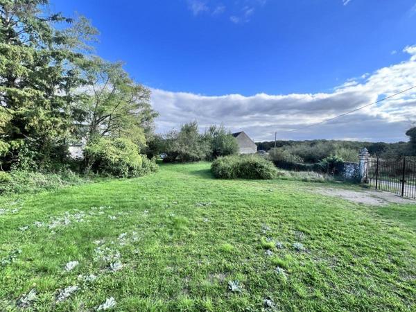 Maison à vendre à Veuzain-sur-Loire dans le Loir-et-Cher (41150), ref : 41033-1752