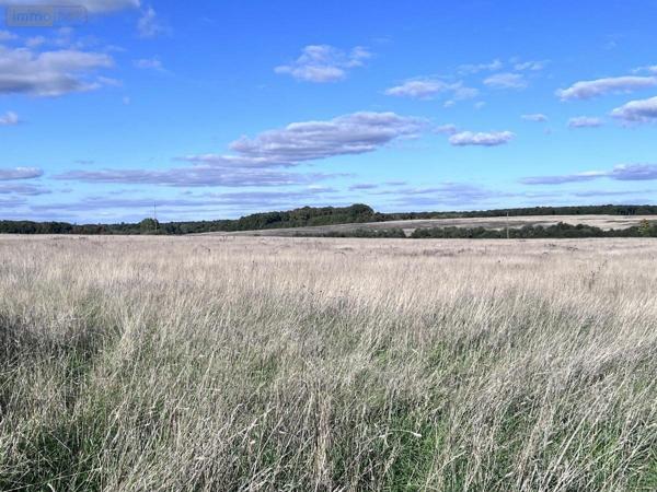 Maison à vendre à Veuzain-sur-Loire dans le Loir-et-Cher (41150), ref : 41033-1752