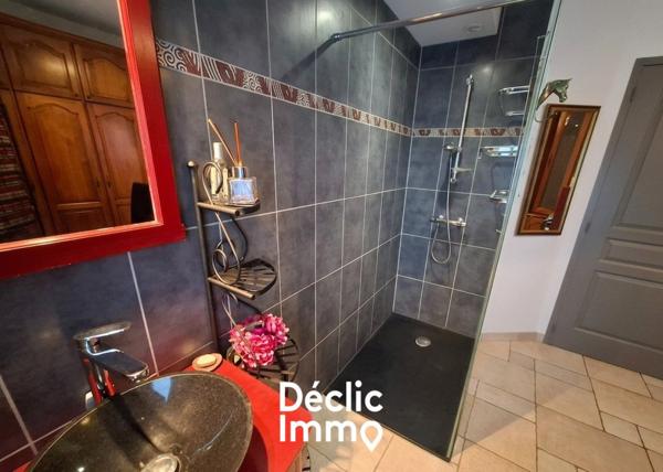 Vente maison et dépendances Saint-sulpice-la-pointe, 170m² 8 pièces 399 000€ avec piscine