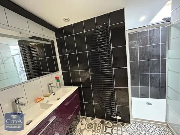 Local professionnel à louer Chavanoz (38230)