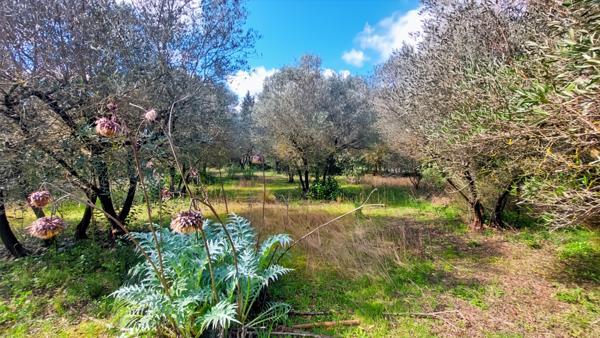 Uzès (30700) A vendre, magnifique terrain situé sur Saint-Siffret