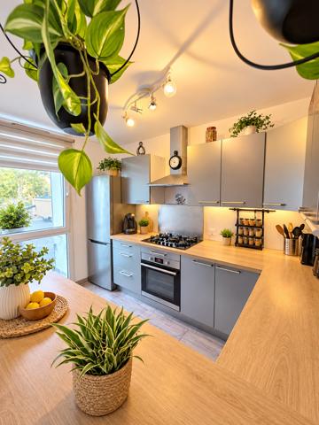 T3 refait à neuf 2 Balcons