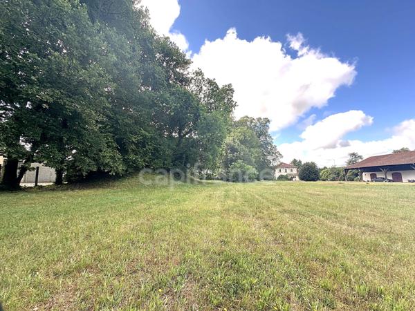 Maison de Maitre-dépendances-parc de 1,2 ha-Hypercentre de SALLES (33)