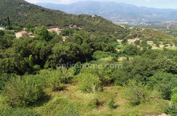 TERRAIN CONSTRUCTIBLE 3218 m2 à OLETTA