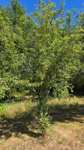 TERRAIN 1068M² - ENVIRONNEMENT CAMPAGNE