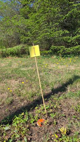 TERRAIN 1068M² - ENVIRONNEMENT CAMPAGNE