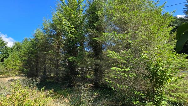 TERRAIN 1068M² - ENVIRONNEMENT CAMPAGNE