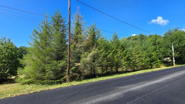 TERRAIN 1068M² - ENVIRONNEMENT CAMPAGNE