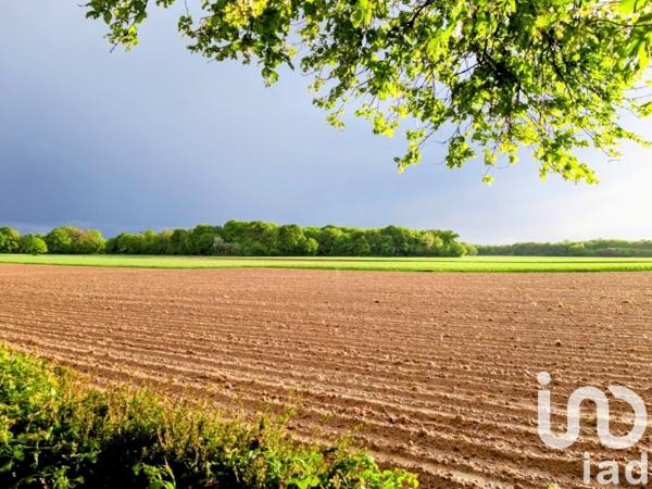 Maison à vendre 3 pièces 70 m² La Chapelle-de-Brain