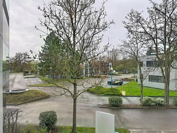 A vendre Plateau de BUREAUX Illkirch graffenstaden A vendre Plateau de BUREAUX Illkirch graffenstaden