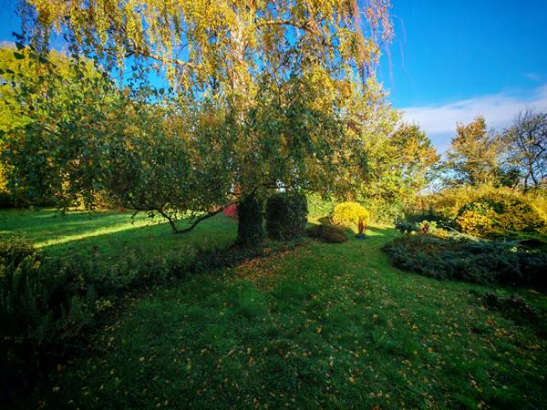 NOAILLES PROCHE Maison, 5 Pièces, Séjour/Salon, cuisine, 2 chambres, bureau. S/sol total, 1287 m² de jardin