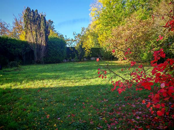 NOAILLES PROCHE Maison, 5 Pièces, Séjour/Salon, cuisine, 2 chambres, bureau. S/sol total, 1287 m² de jardin