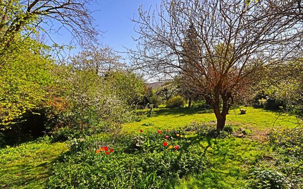 Maison à vendre    9 pièces • 253 m2 Sury-en-Vaux