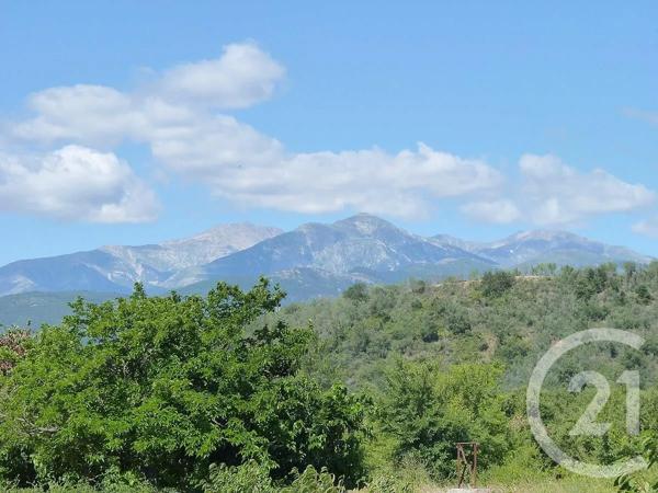 Terrain à vendre  2000 m 2   CERET  - 66