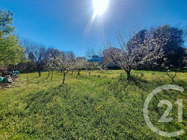 Terrain à vendre  2000 m 2   CERET  - 66
