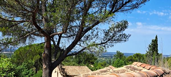 L'Isle-sur-la-Sorgue (84800) Isle sur la Sorgue / St Antoine superbe maison de 180 m2 vterrain 2900 m2 piscine.