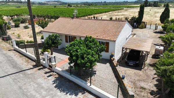 Maison de plain-pied sans travaux avec grand terrain au coeur des vignes