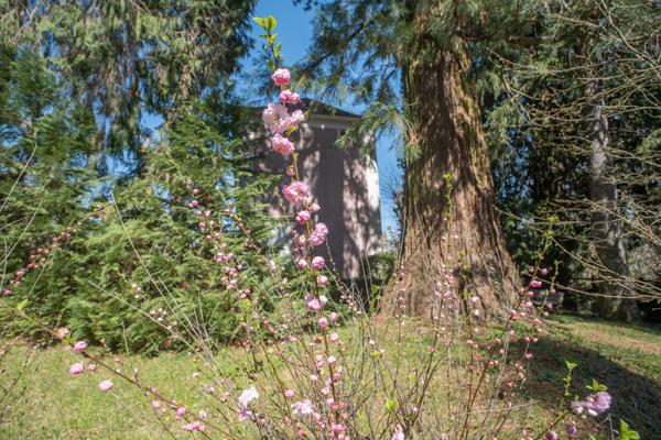 Saint-Germain-du-Salembre (24190) Demeure de Prestige en Périgord Blanc – Un Domaine Exclusif « À la Fontaine Bénie"