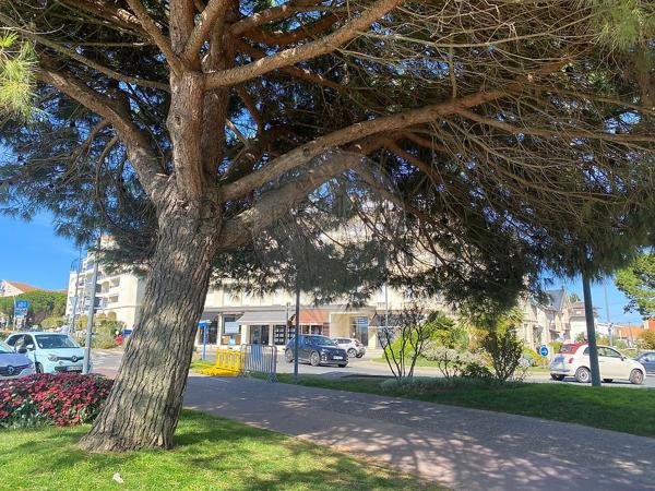 Appartement 1 chambre(s) à vendre - Royan, Charente-Maritime - 17