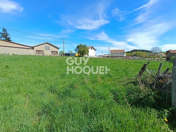 Terrain constructible à vendre à Saint-Martin-la-Sauveté (42260)