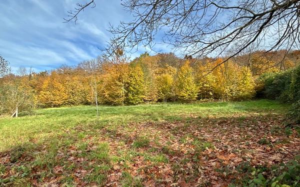 Terrain à vendre    Villers-Cotterêts