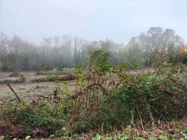 Terrain constructible  Lectoure (32700) 2 ha