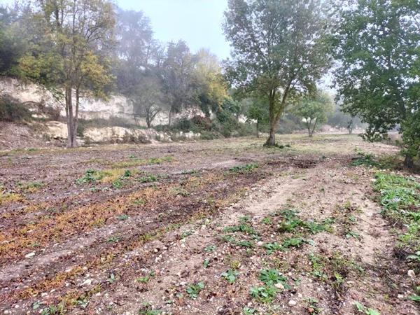 Terrain constructible  Lectoure (32700) 2 ha