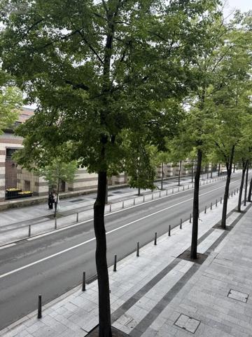 Location - Appartement Amiens 80000 1 pièce 17 m 2