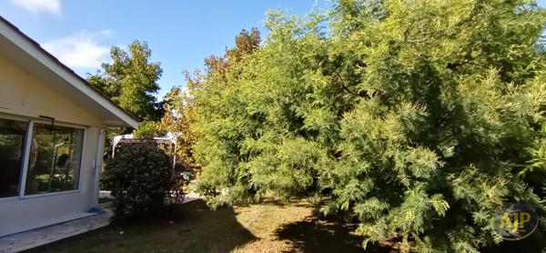 Vente maison Lege Cap Ferret : 369 000 € - AJP Immobilier Lège-Cap-Ferret