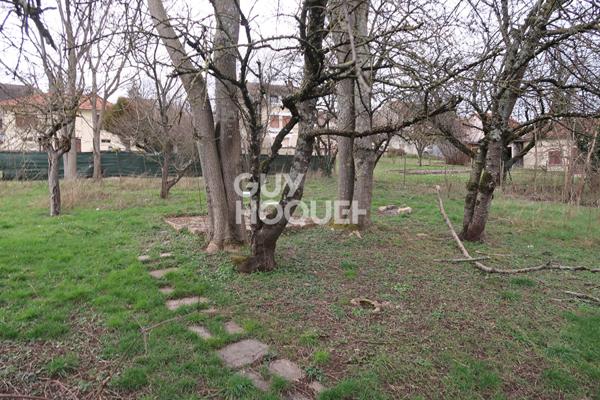 Terrain Contructible au calme