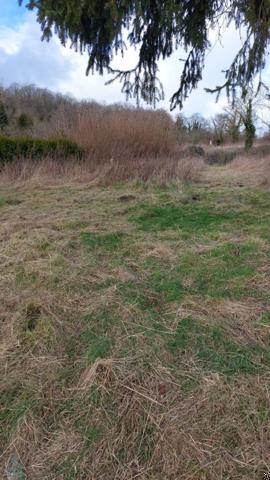 Fermette à rénover et terrain à bâtir
