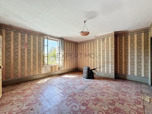 Tournus (71700) Ensemble immobilier de caractère composé de deux maisons, avec un fort potentiel de rénovation, au calme