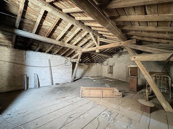 Tournus (71700) Ensemble immobilier de caractère composé de deux maisons, avec un fort potentiel de rénovation, au calme