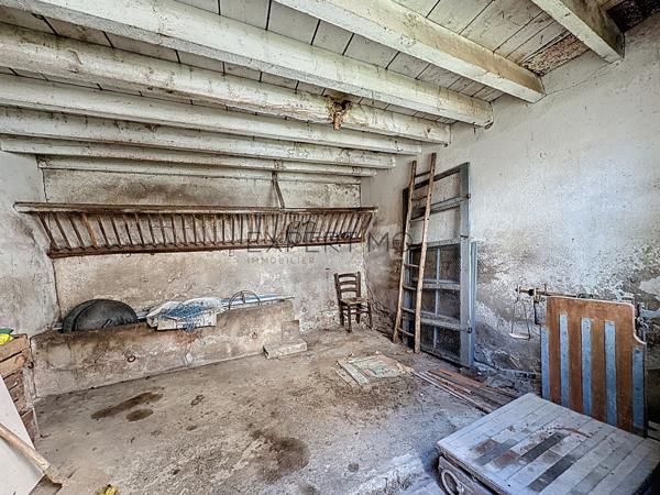 Tournus (71700) Ensemble immobilier de caractère composé de deux maisons, avec un fort potentiel de rénovation, au calme