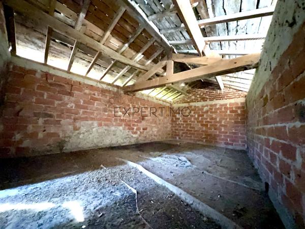 Tournus (71700) Ensemble immobilier de caractère composé de deux maisons, avec un fort potentiel de rénovation, au calme