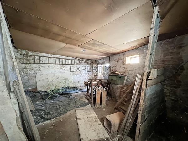 Tournus (71700) Ensemble immobilier de caractère composé de deux maisons, avec un fort potentiel de rénovation, au calme