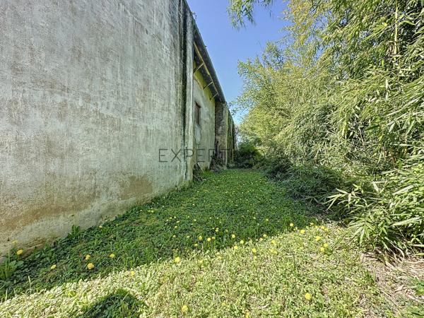 Tournus (71700) Ensemble immobilier de caractère composé de deux maisons, avec un fort potentiel de rénovation, au calme